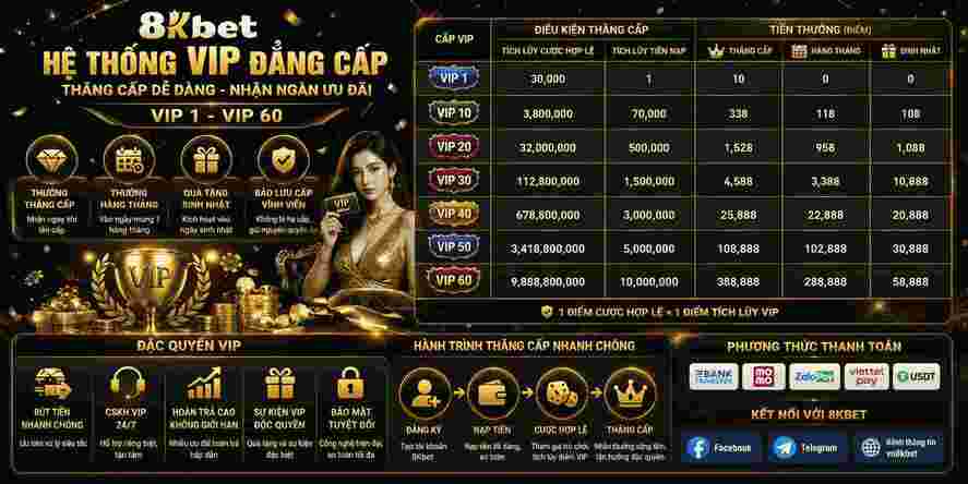 Hệ thống VIP và các chương trình thưởng thành viên